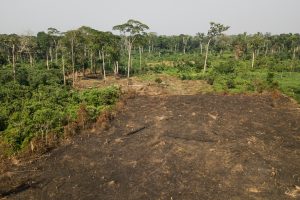 Deforestation_LiekiDRC_AxelFassioCIFORFlickrBYNCND2.0