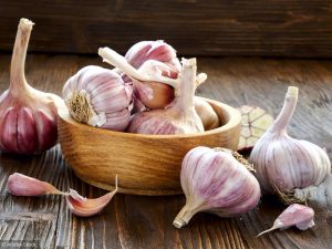Garlic in a wooden bowl on the kitchen table